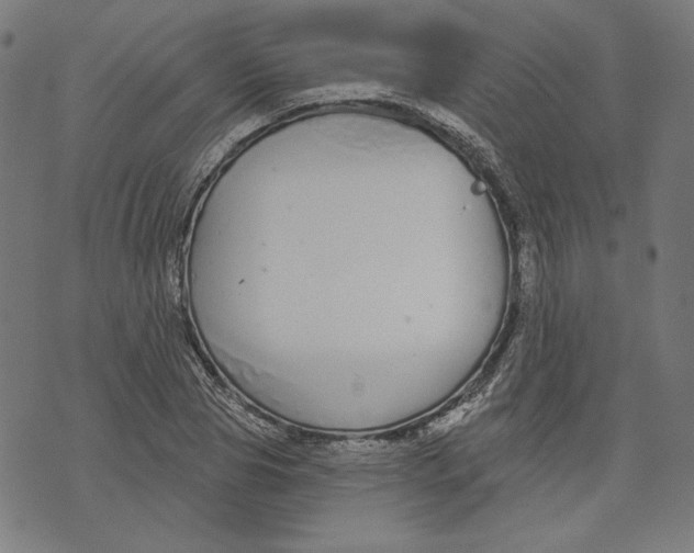 X0000073990929200609111529