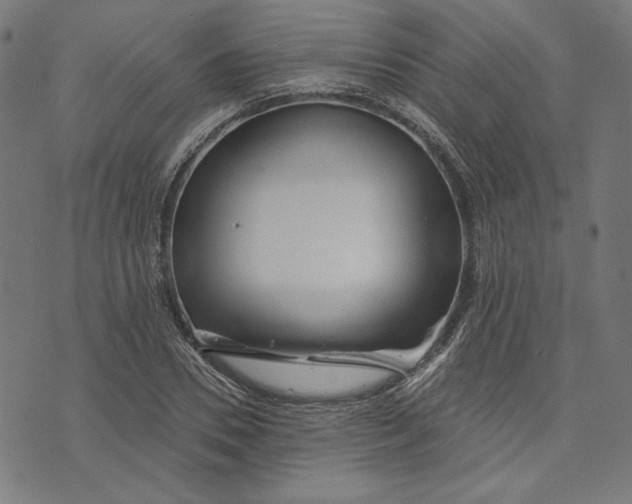 X0000073990930200609111529