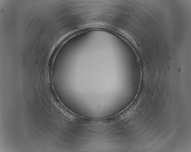 X0000073990931200609111529