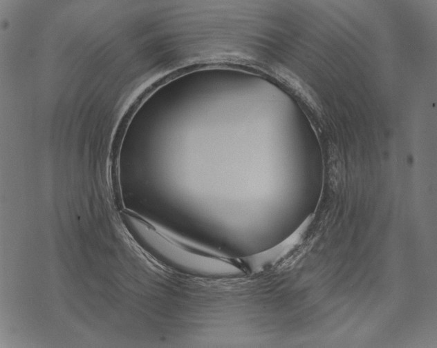 X0000073990932200609111529