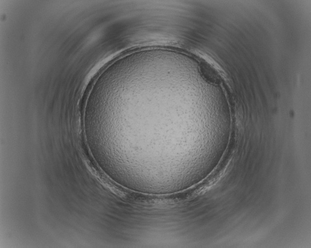 X0000073990933200609111529