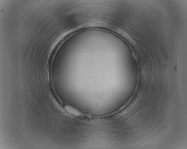 X0000073990934200609111529