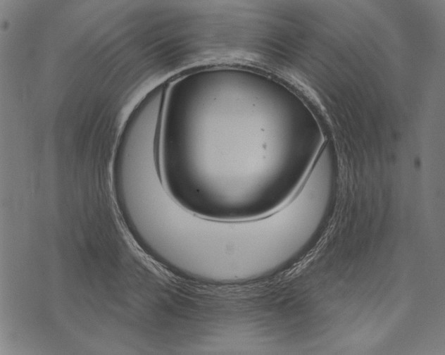 X0000073990936200609111529