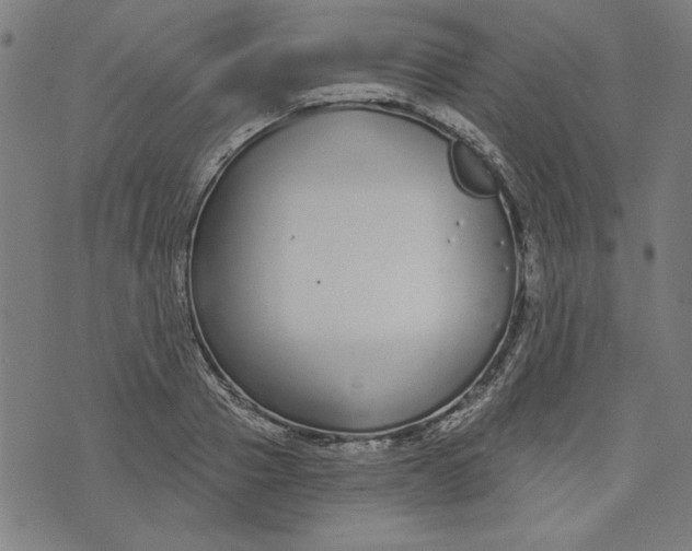 X0000073990937200609111529