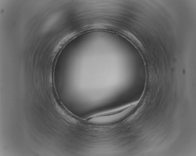 X0000073990938200609111529