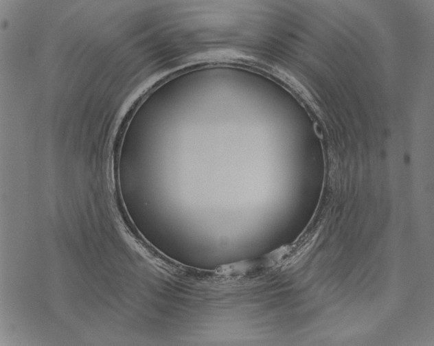 X0000073990939200609111529