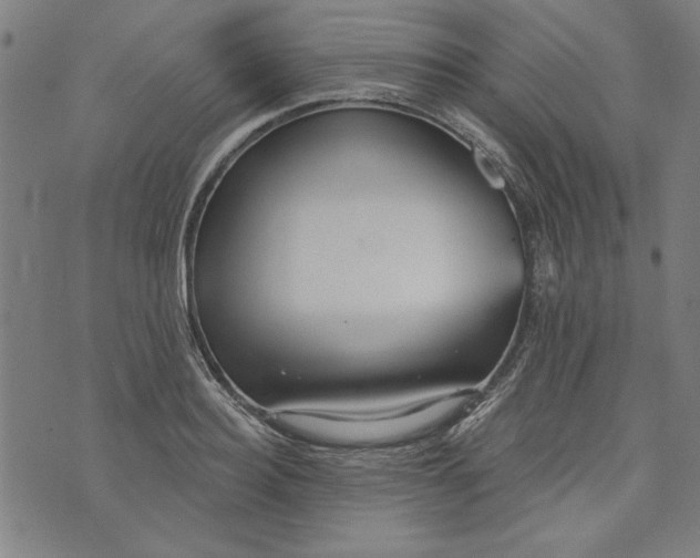 X0000073990940200609111529