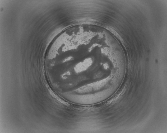 X0000073990941200609111529