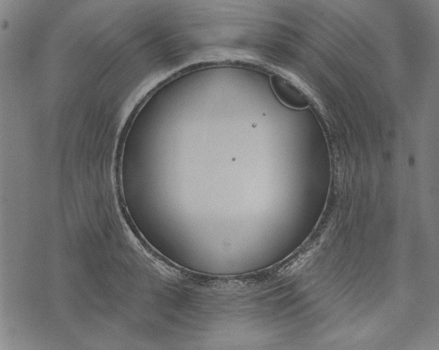 X0000073990943200609111530