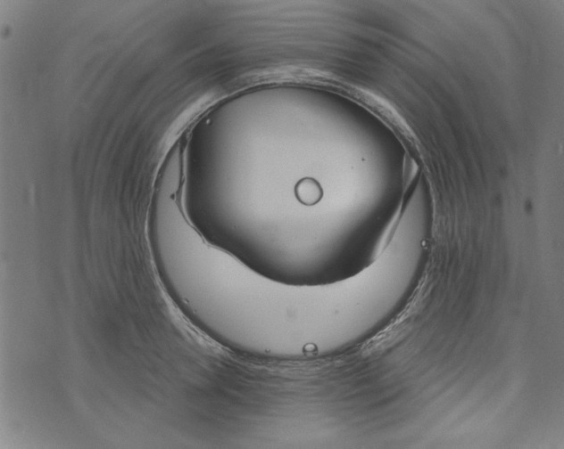 X0000073990946200609111530