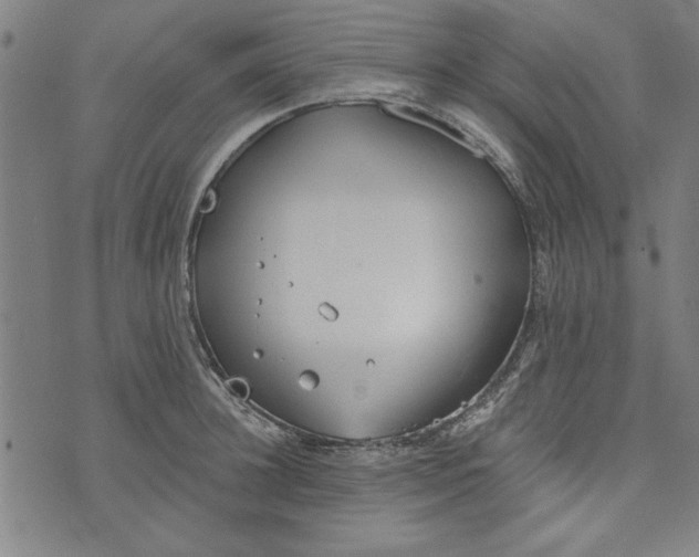 X0000073990948200609111530