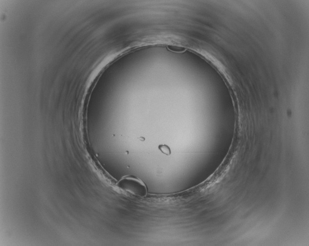 X0000073990949200609111530