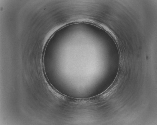 X0000073990951200609111530