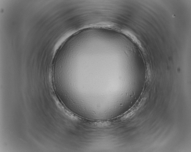 X0000073990952200609111530