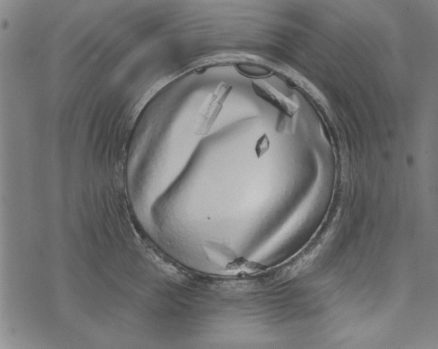 X0000073990953200609111530