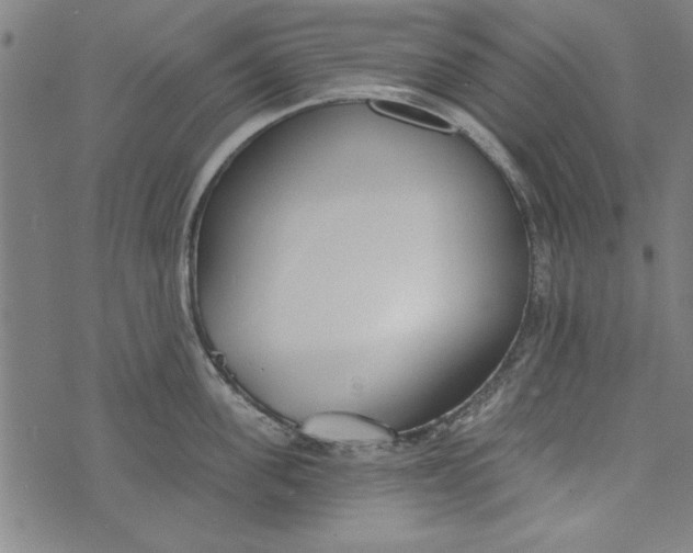 X0000073990955200609111530