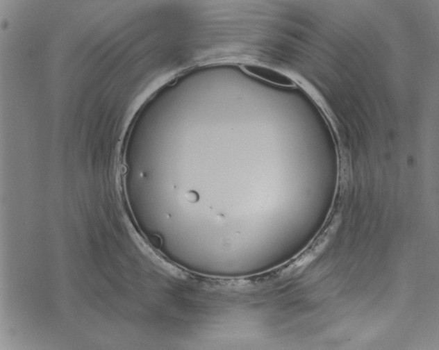 X0000073990957200609111530