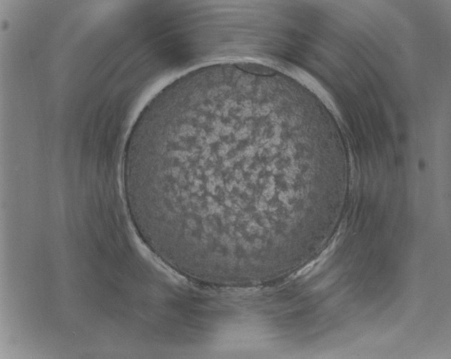 X0000073990958200609111530