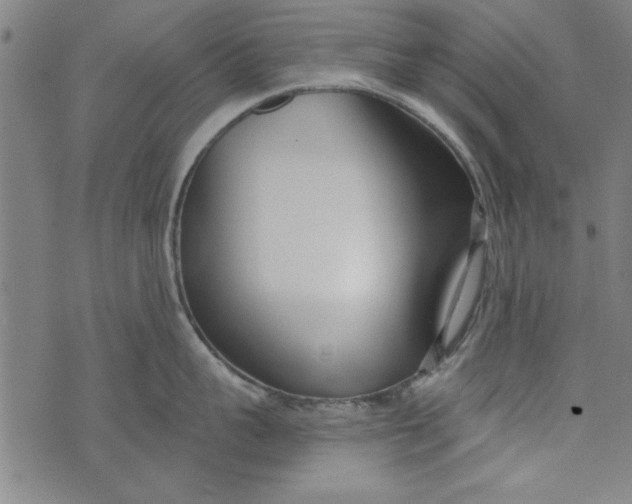 X0000073990959200609111530