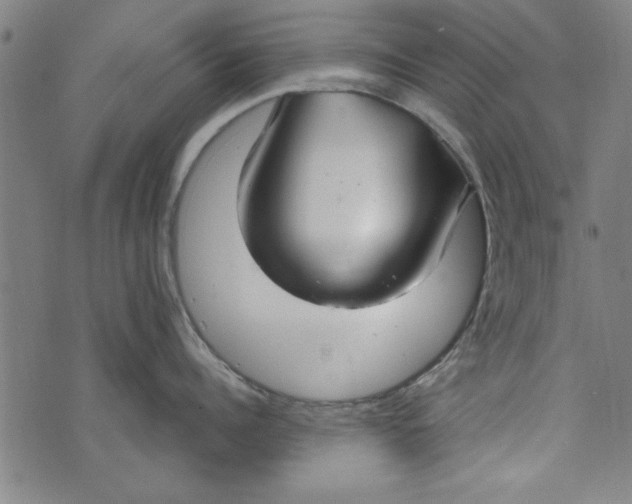 X0000073990960200609111530