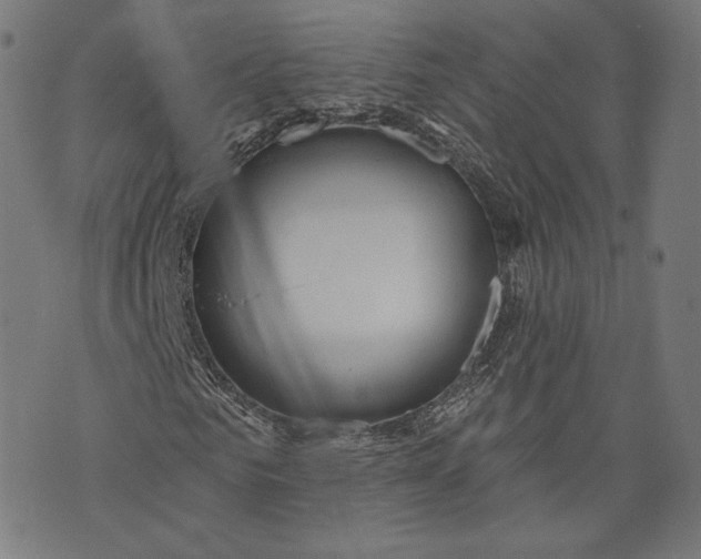 X0000073990961200609111529