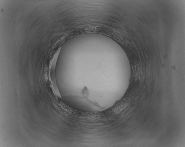 X0000073990962200609111529