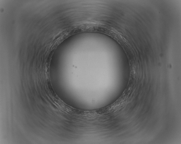 X0000073990964200609111529