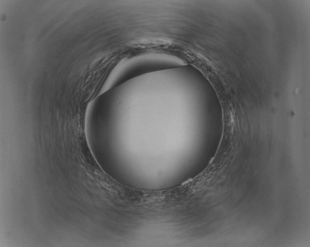 X0000073990965200609111529