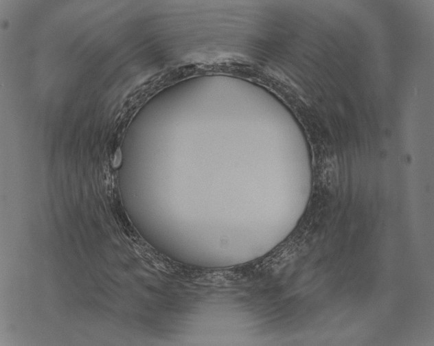 X0000073990966200609111529