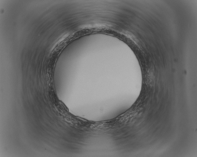 X0000073990967200609111529