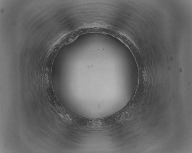 X0000073990968200609111529