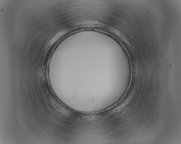 X0000073990970200609111529