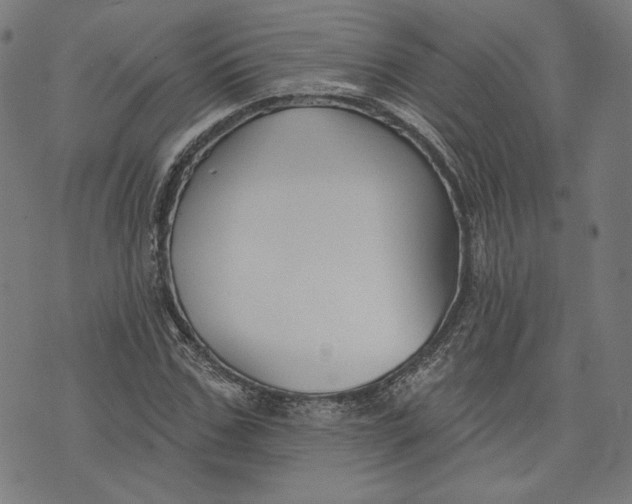 X0000073990971200609111529