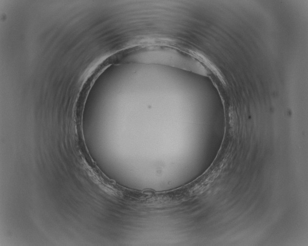 X0000073990972200609111529