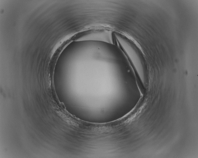 X0000073990973200609111529