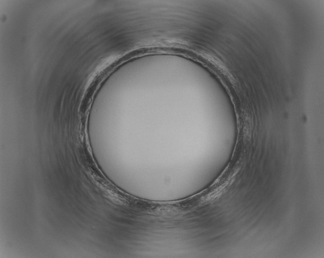 X0000073990974200609111529