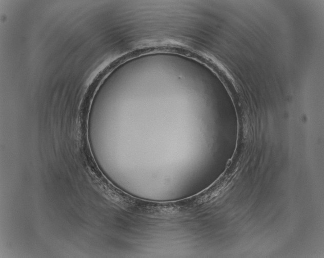 X0000073990975200609111529