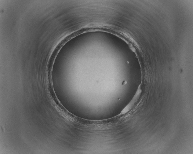 X0000073990976200609111529