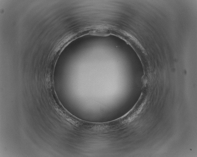 X0000073990977200609111529