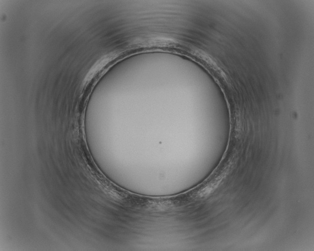 X0000073990978200609111529