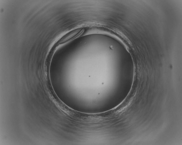 X0000073990981200609111529