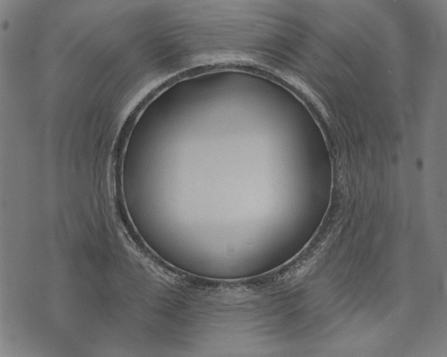 X0000073990983200609111529