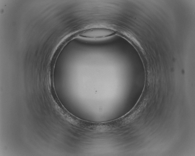 X0000073990984200609111529