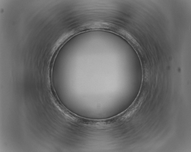 X0000073990986200609111529