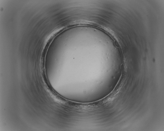 X0000073990987200609111529