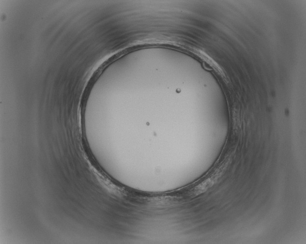 X0000073990988200609111529