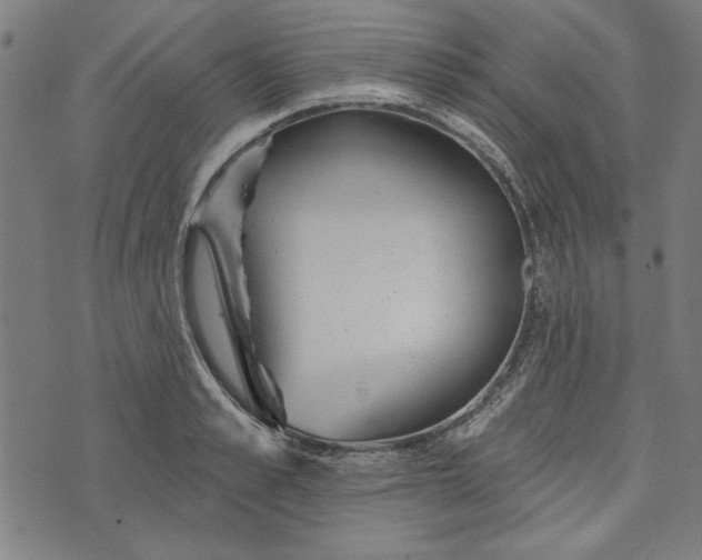 X0000073990989200609111529