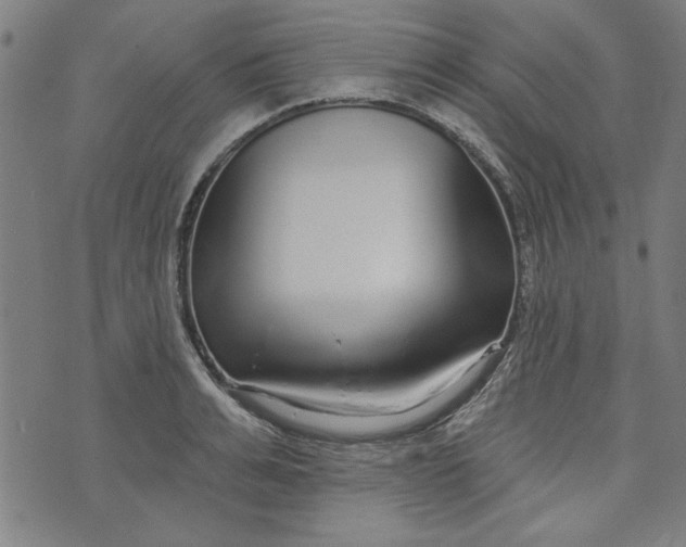 X0000073990991200609111529