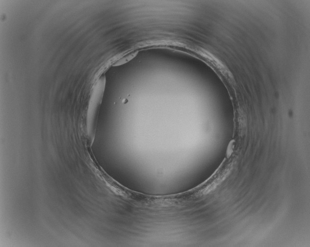 X0000073990993200609111528