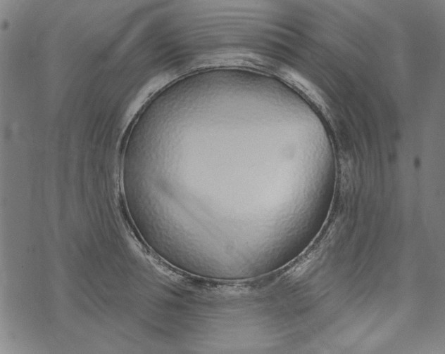 X0000073990994200609111528